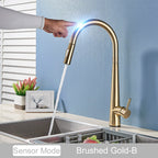 Pull-Down Touch Kitchen Faucet, Single Handle